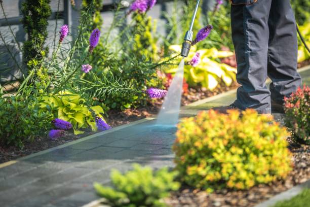 Harvey, LA Pressure Washing Services Company